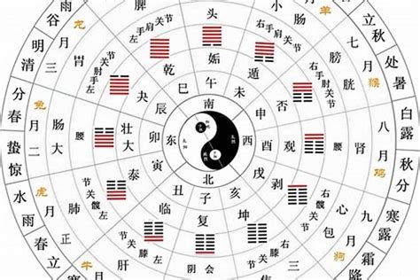 天干生地支|何为“天干地支”？ 详解“天干地支”的具体含义